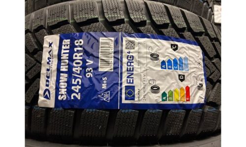 245/40R18  DELMAX SNOW HUNTER (WINTER)